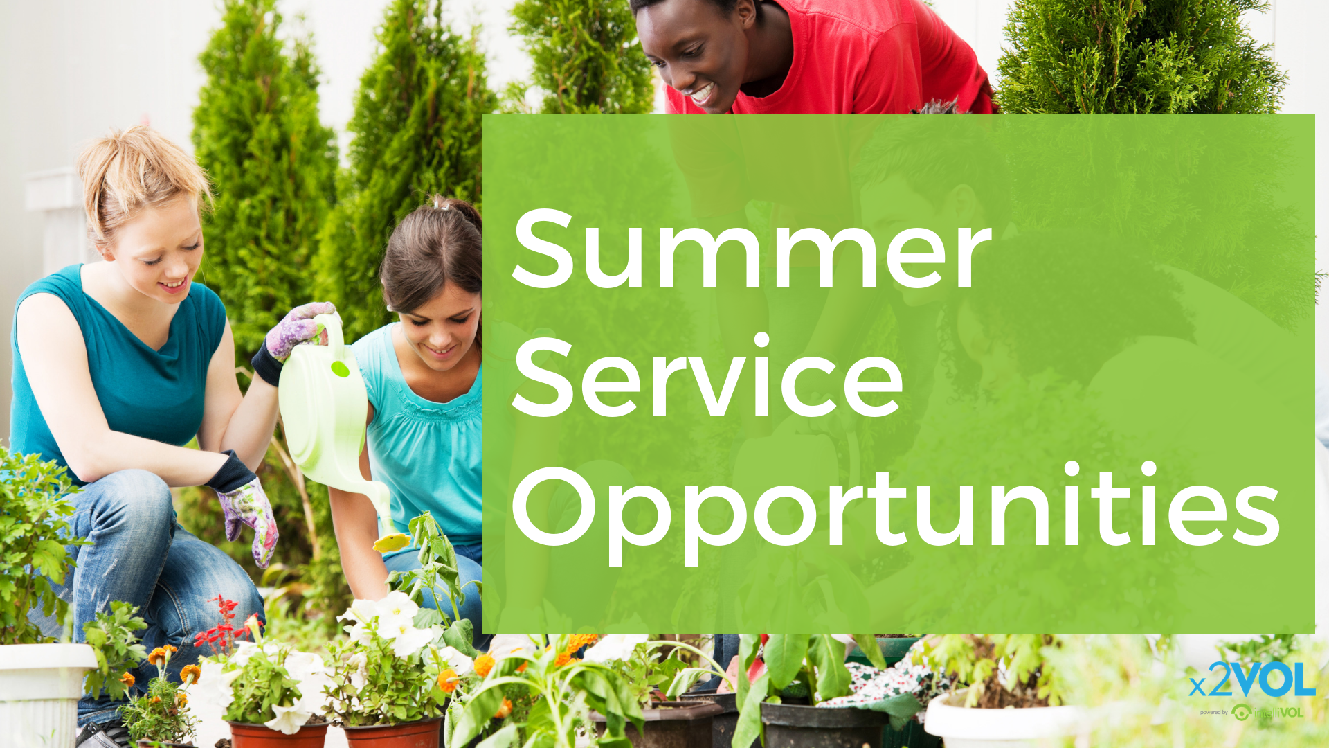 Summer Service Opportunities