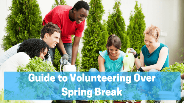 How to Volunteer Over Spring Break