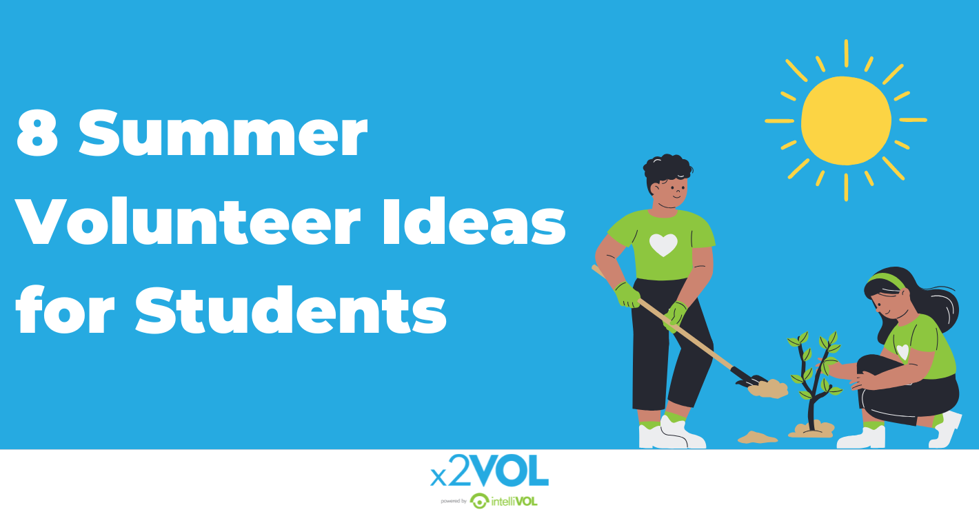 8 Summer Volunteer Ideas for Students